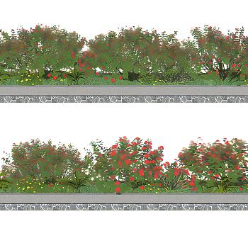 现代灌木植物绿化灌木花草