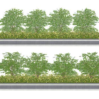 现代绿化花池花坛花池矮树灌木