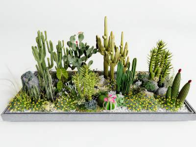 现代植物盆栽仙人掌景观景观小品