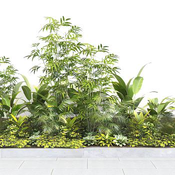 现代植物堆灌木