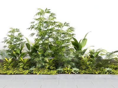 现代植物堆灌木