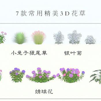 现代花草