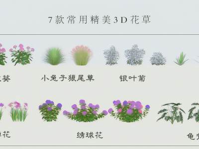 现代花草