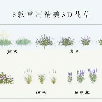 现代花草