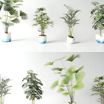 现代绿植盆栽