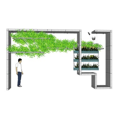 绿植架