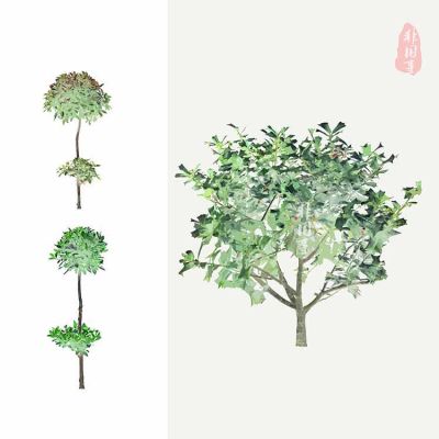 【免扣素材】古风植物灌木