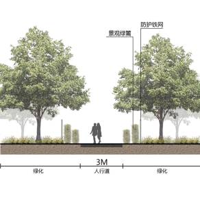 【免扣素材】绿色植物