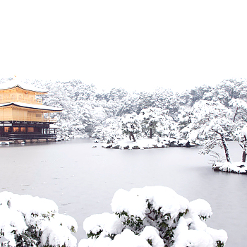 雪景贴图