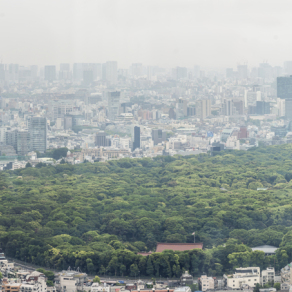 城市建筑外景