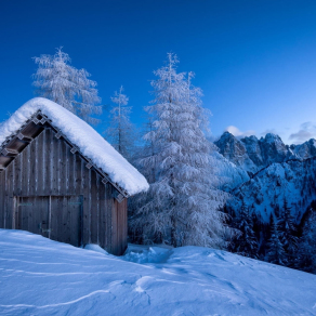 雪景贴图