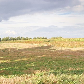 田园风景贴图