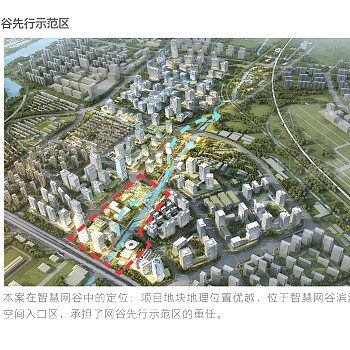 杭州智慧网谷整体规划项目