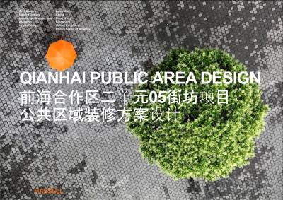 深圳前海合作区公共区域PPT概念方案