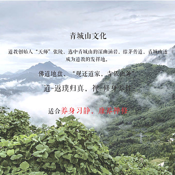 绿地国际旅游康养小镇山地院墅规划建筑方案