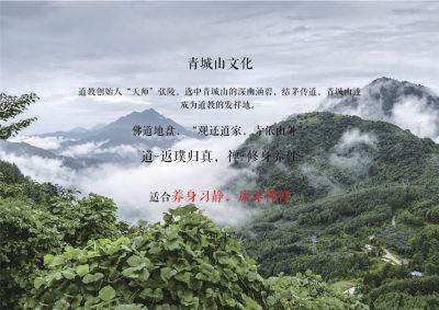 绿地国际旅游康养小镇山地院墅规划建筑方案