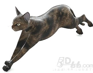 其它猫3D模型下载