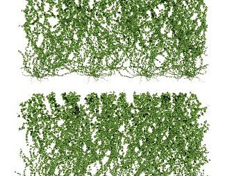 现代植物3D模型下载