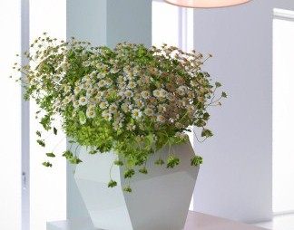 现代花瓶花卉3D模型下载