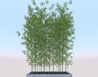 现代植物3D模型下载