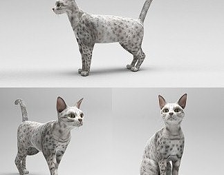 现代猫3D模型下载