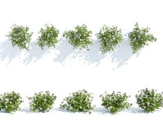 现代植物3D模型下载