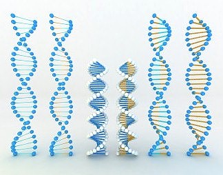 现代教学器材3D模型下载