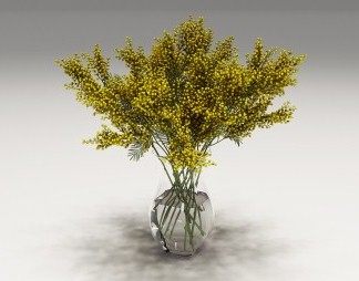 现代花卉3D模型下载