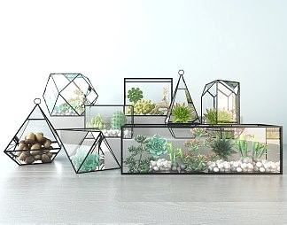 现代多肉植物3D模型下载