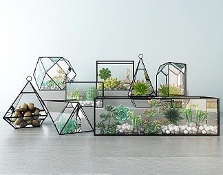 现代多肉植物3D模型下载