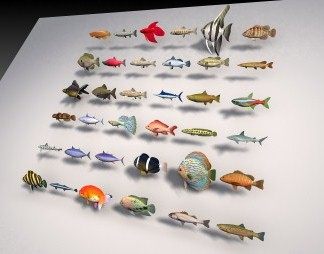 现代鱼3D模型下载