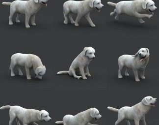现代小狗3D模型下载
