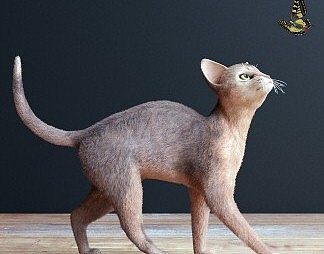 现代猫3D模型下载