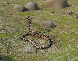 现代蛇3D模型下载