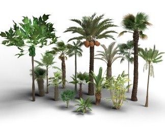 现代棕榈树3D模型下载