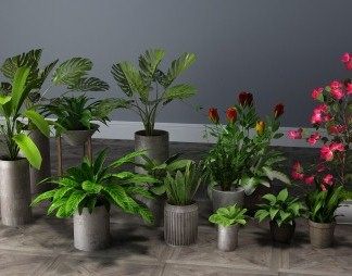 现代盆栽3D模型下载