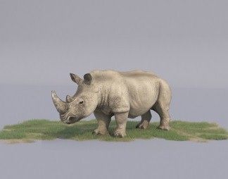 现代白犀牛3D模型下载