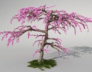 现代桃树3D模型下载
