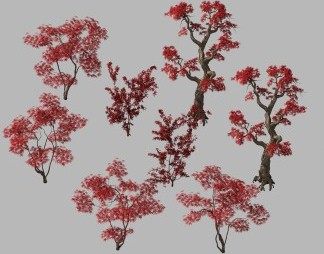 现代枫树3D模型下载