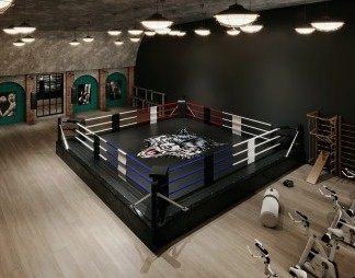 工业LOFT拳击馆3D模型下载