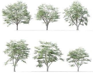 现代树3D模型下载