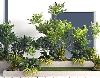 现代植物3D模型下载