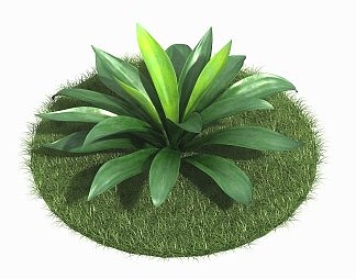 现代植物3D模型下载