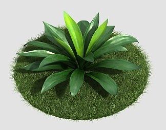 现代植物3D模型下载