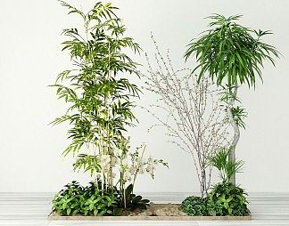 现代植物3D模型下载