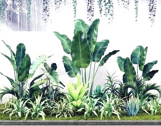 现代植物3D模型下载