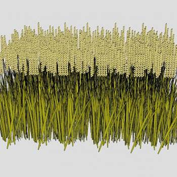 粮食农作物稻谷子小麦SU模型下载_sketchup草图大师SKP模型