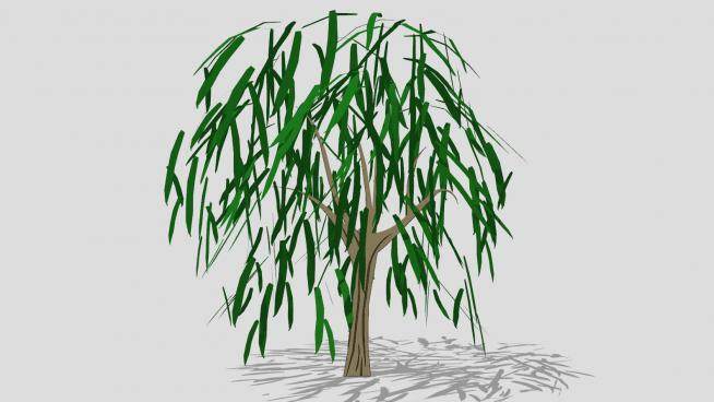 简单实用的柳树SU模型下载_sketchup草图大师SKP模型