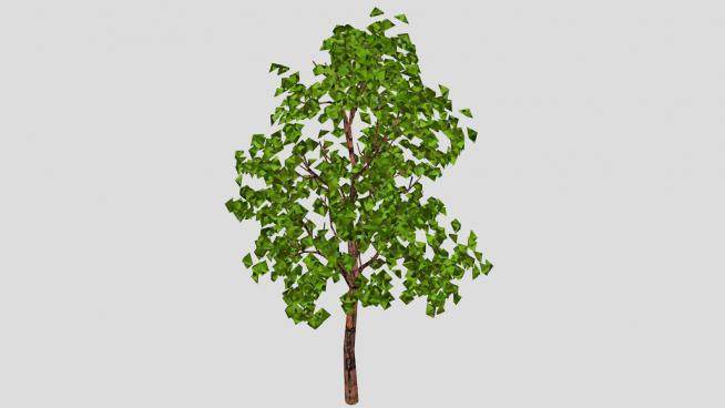 绿色植物树木SU模型下载_sketchup草图大师SKP模型