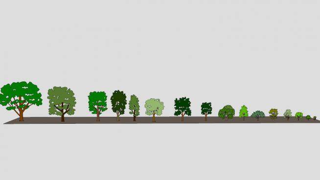 常用的2D植物树小集合SU模型下载_sketchup草图大师SKP模型
